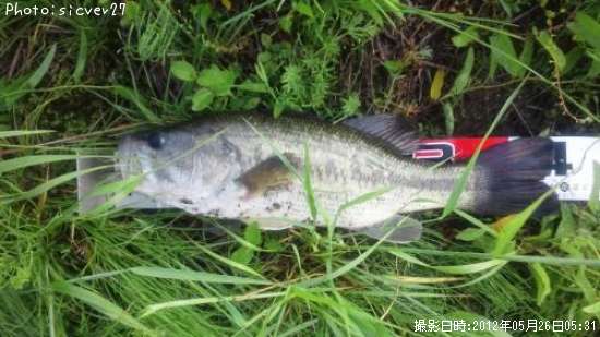 �֥�å��Х�