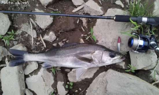 �����Х�