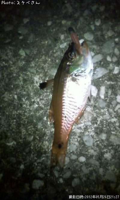 ���Ǥ��礥��á���