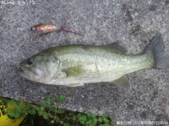 �֥�å��Х�