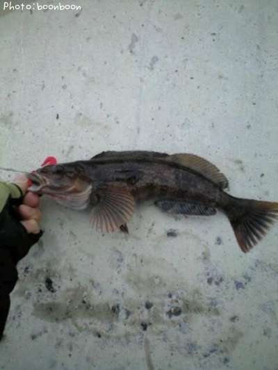 �����ʥ�