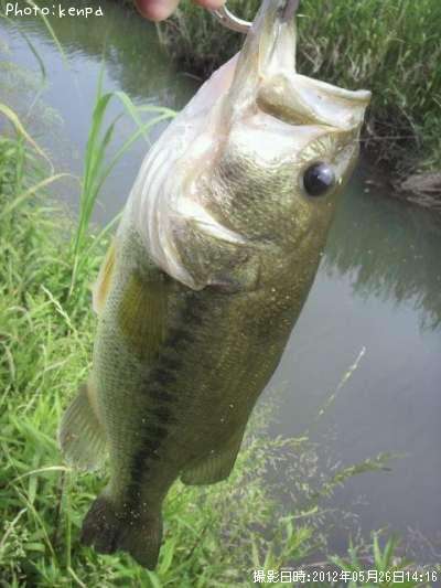 �֥�å��Х�