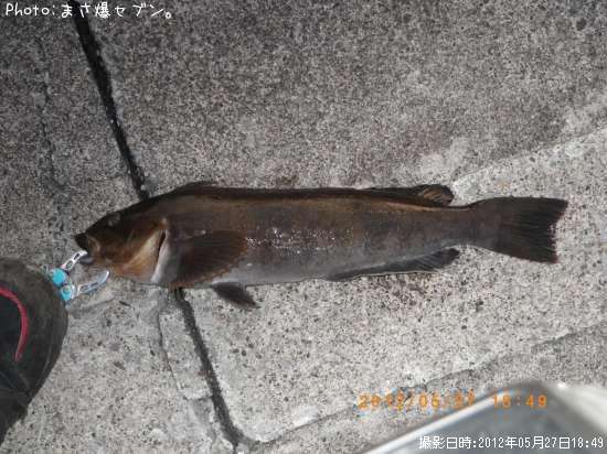 �����ʥ�