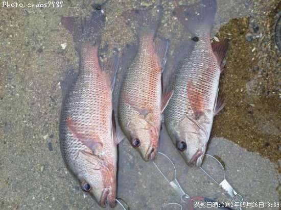 ���ޥե��ե�������