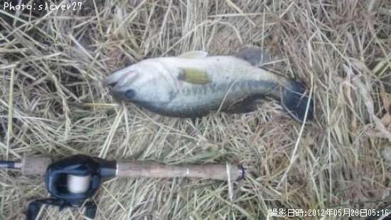 �֥�å��Х�