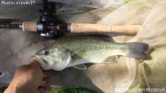 �֥�å��Х�