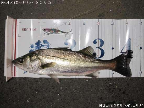 �����Х�