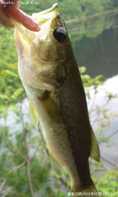 �֥�å��Х�