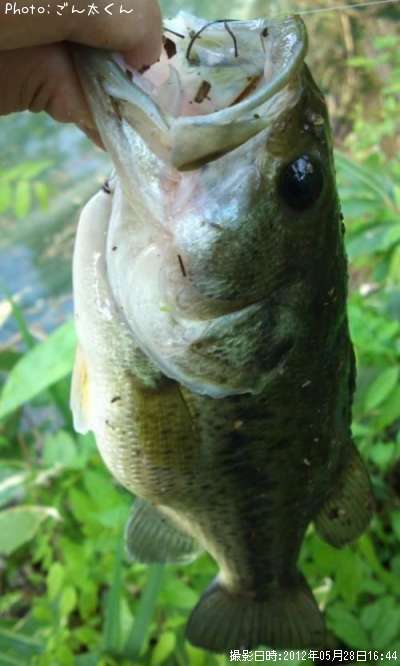 �֥�å��Х�