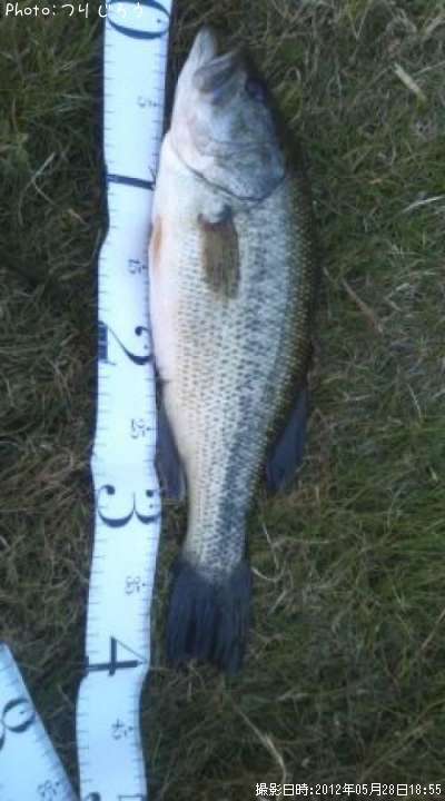 �֥�å��Х�