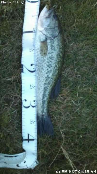 �֥�å��Х�