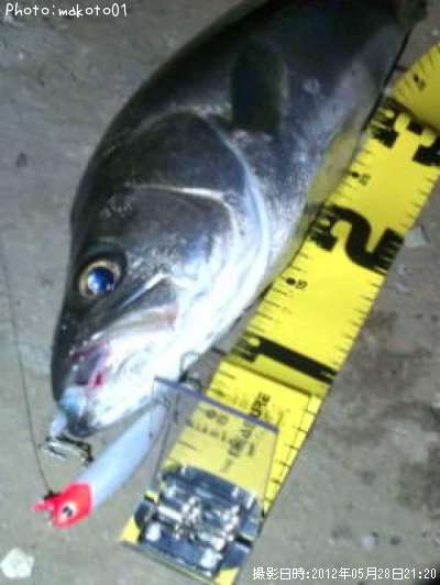 �����Х�