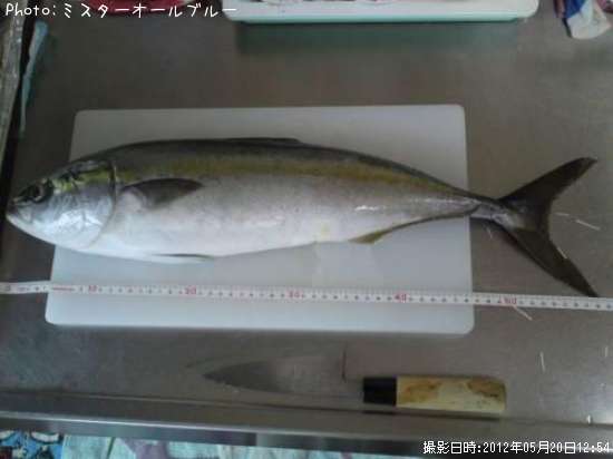 ��饵