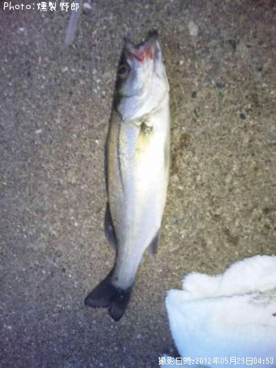 �����Х�