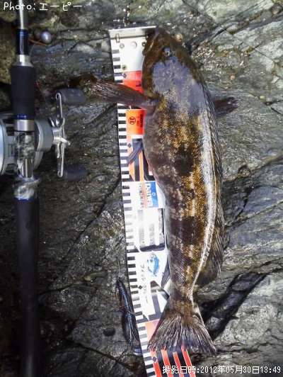 �����ʥ�