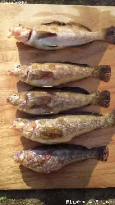 �����ʥ�