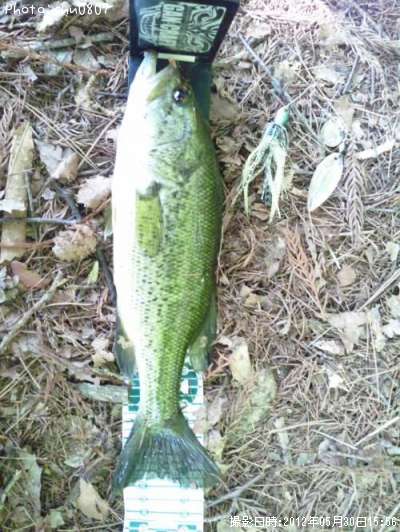 �֥�å��Х�