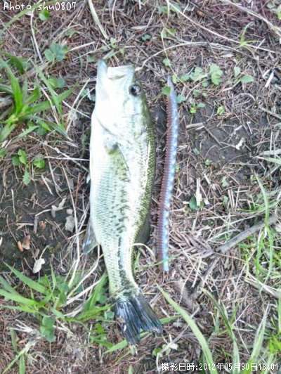 �֥�å��Х�