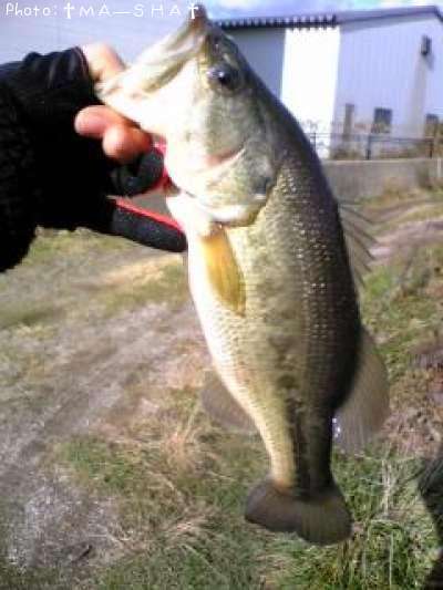 �֥�å��Х�