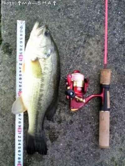 �֥�å��Х�