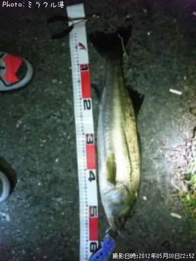 �����Х�