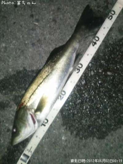 �ޥ륻������