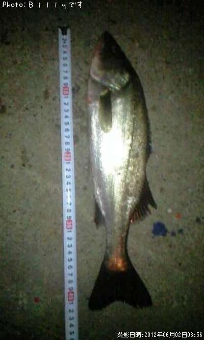 �����Х�