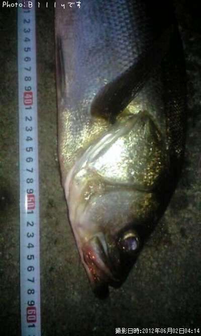 �����Х�