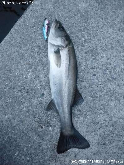 �����Х�