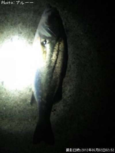 �����Х�