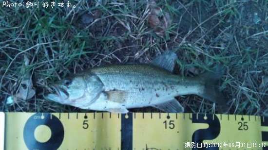 �֥�å��Х�