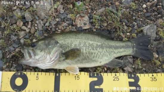 �֥�å��Х�