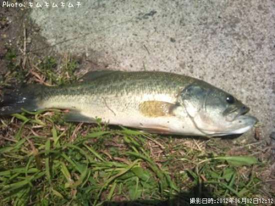 �֥�å��Х�