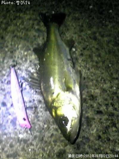 �����Х�