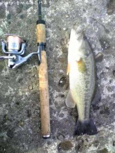 �֥�å��Х�