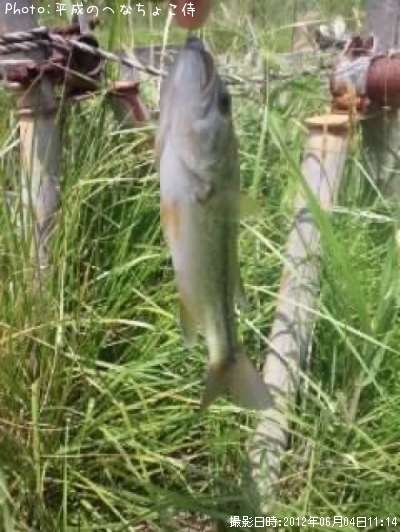 �֥�å��Х�