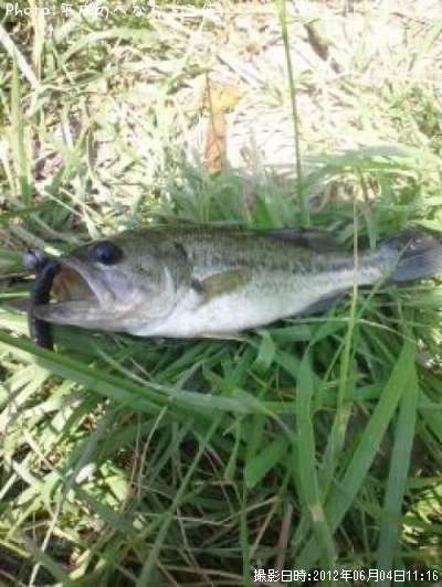 �֥�å��Х�