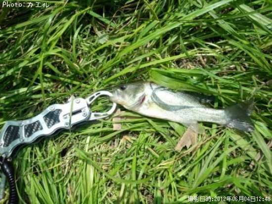 �֥�å��Х�