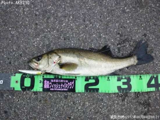 �����Х�