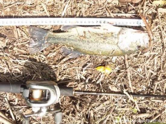 �֥�å��Х�