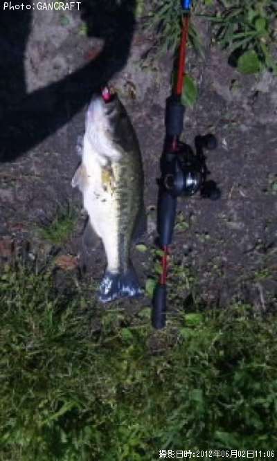 �֥�å��Х�