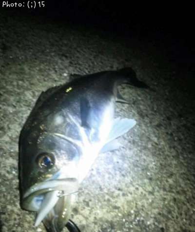 �����Х�