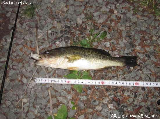 �֥�å��Х�