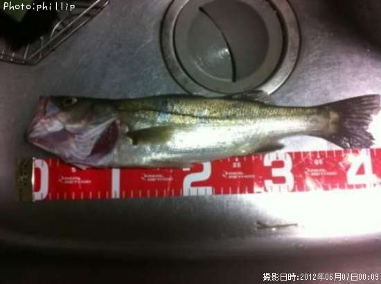 �����Х�