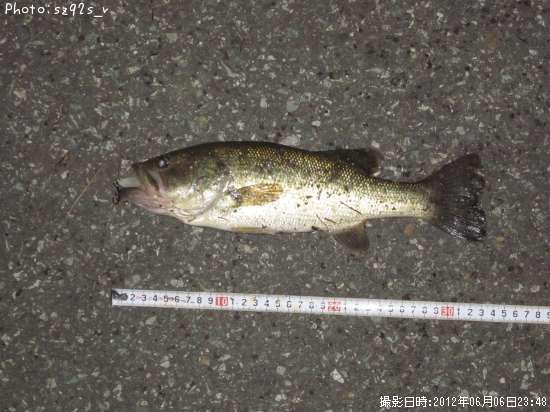 �֥�å��Х�