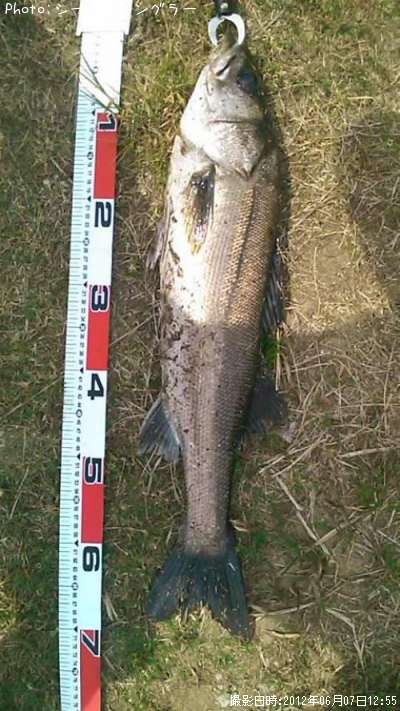 �����Х�