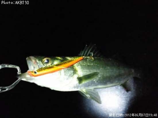 �����Х�