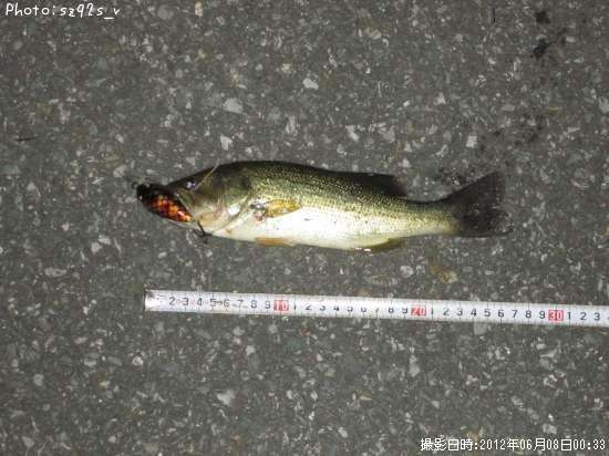 �֥�å��Х�