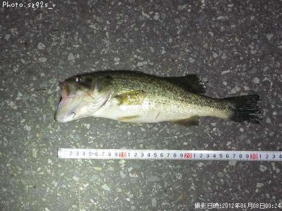 �֥�å��Х�