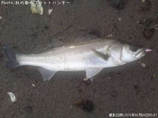 �����Х�